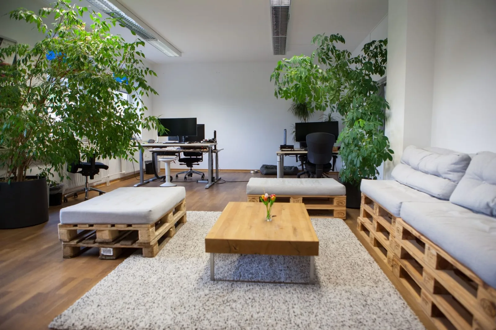 Geenius Haus, Lounge, Kassel