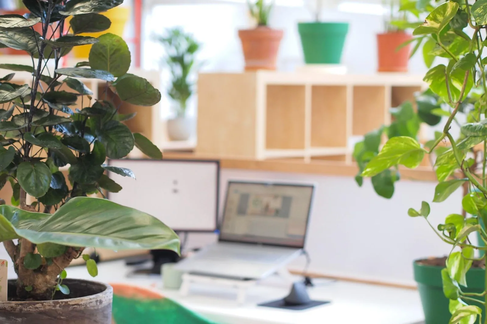 Geobureau, Private office, 1 desk, Montrouge