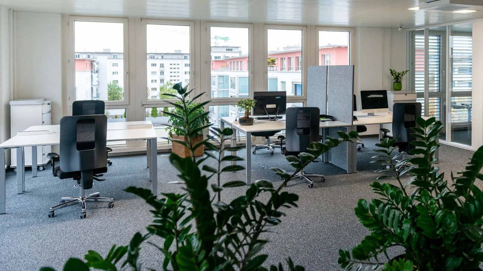 Green Valley Business Park, Open-plan office, Risch-Rotkreuz