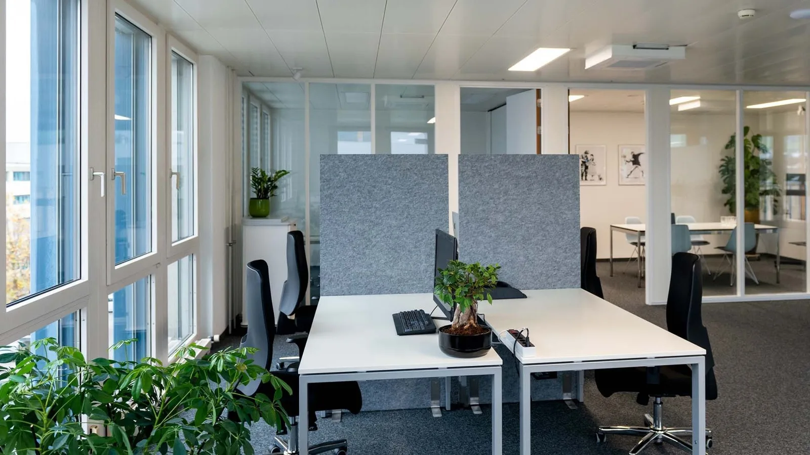 Green Valley Business Park, Open-plan office, Risch-Rotkreuz