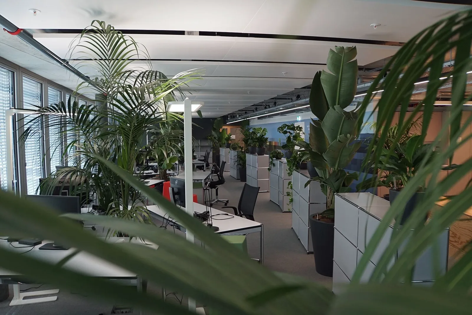 Greencity Coworking, Open-plan office, Zurich