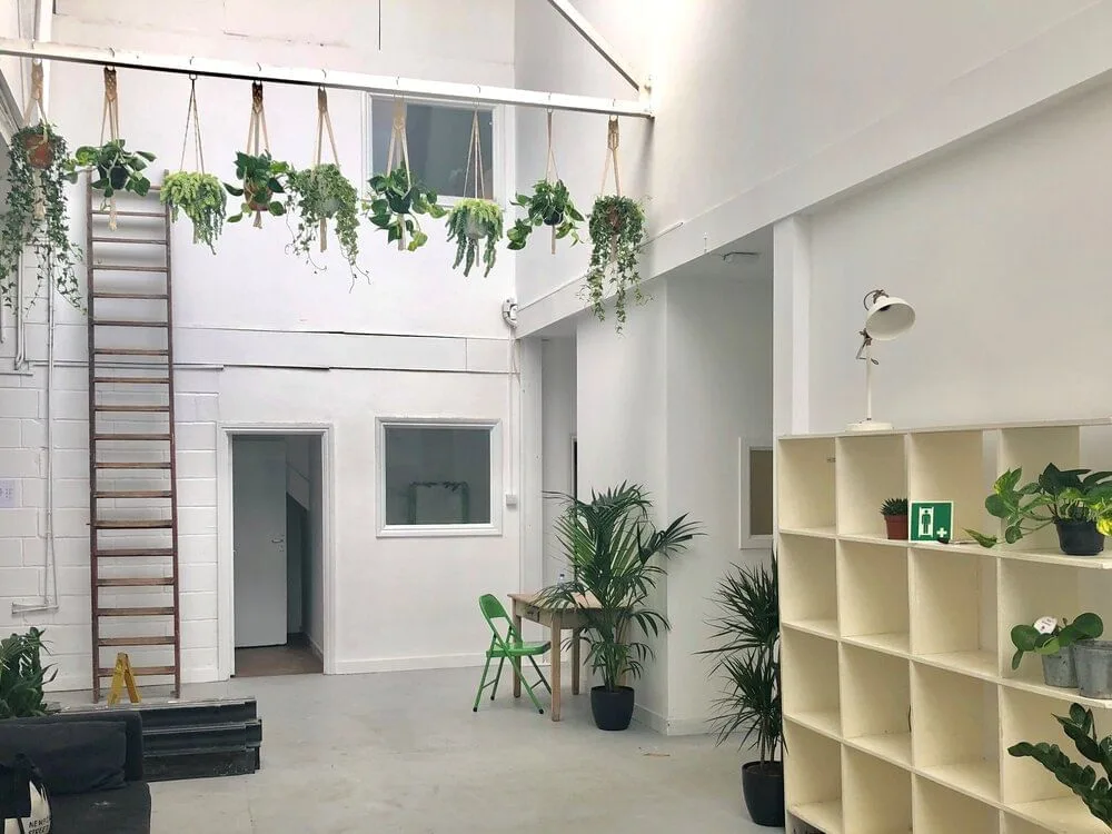 Greenhouse N17, Common area, London