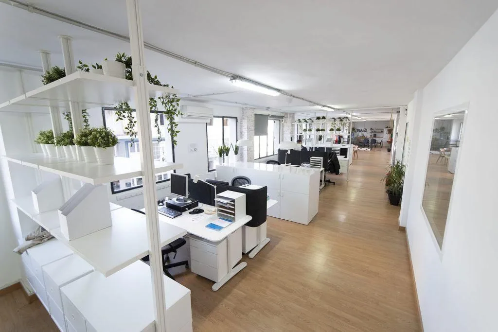 Grow Working, Open-plan office, Málaga