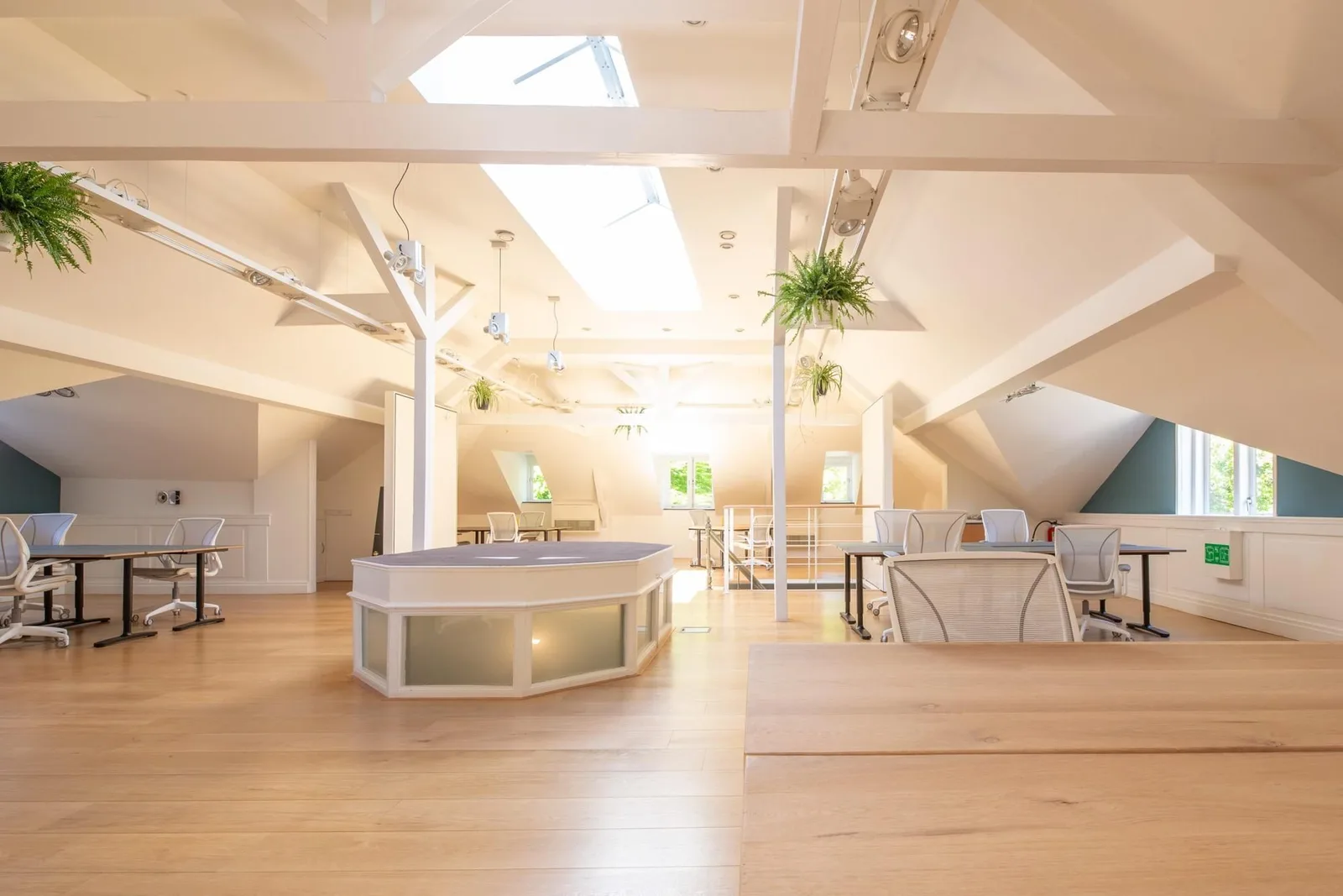 Grytte Bloemenheuvel, Open-plan office, Driebergen-Rijsenburg