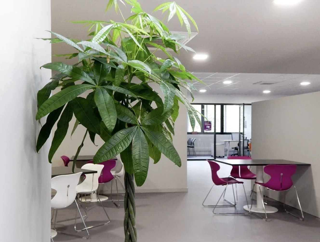 HABIA Coworking, Cafeteria, Itxassou