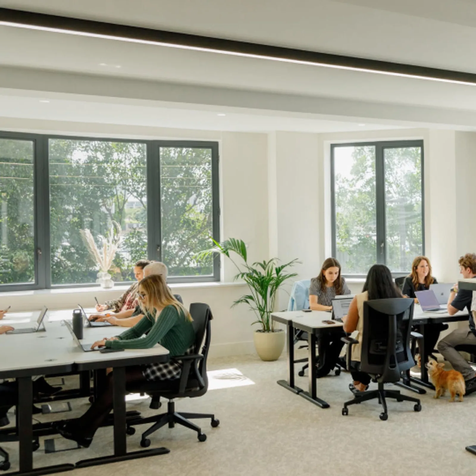Halkin - 24 Eversholt Street, Open-plan office, London