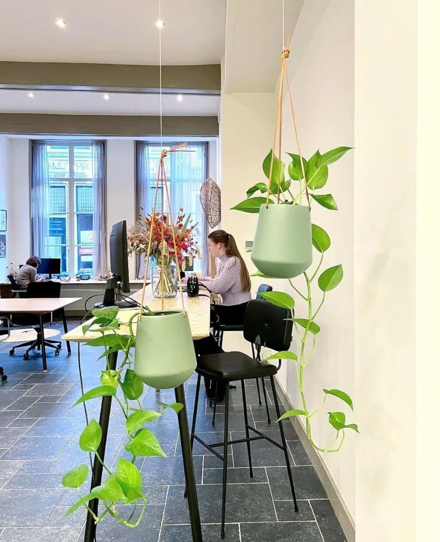 Het Stadslokaal, Espace de coworking, Leyde