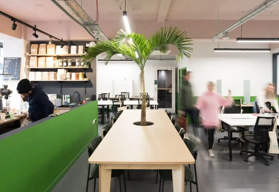 HomeWork Fulham, Espace de coworking, Londres