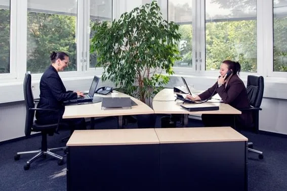 IHR BÜRO, Private office, 2 desks, Heidelberg