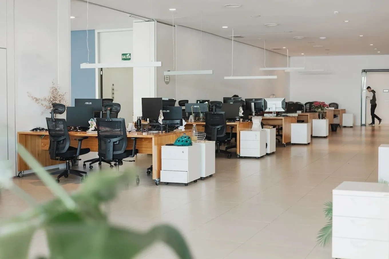 Innsomnia Coworking Valencia, Open space, Valence