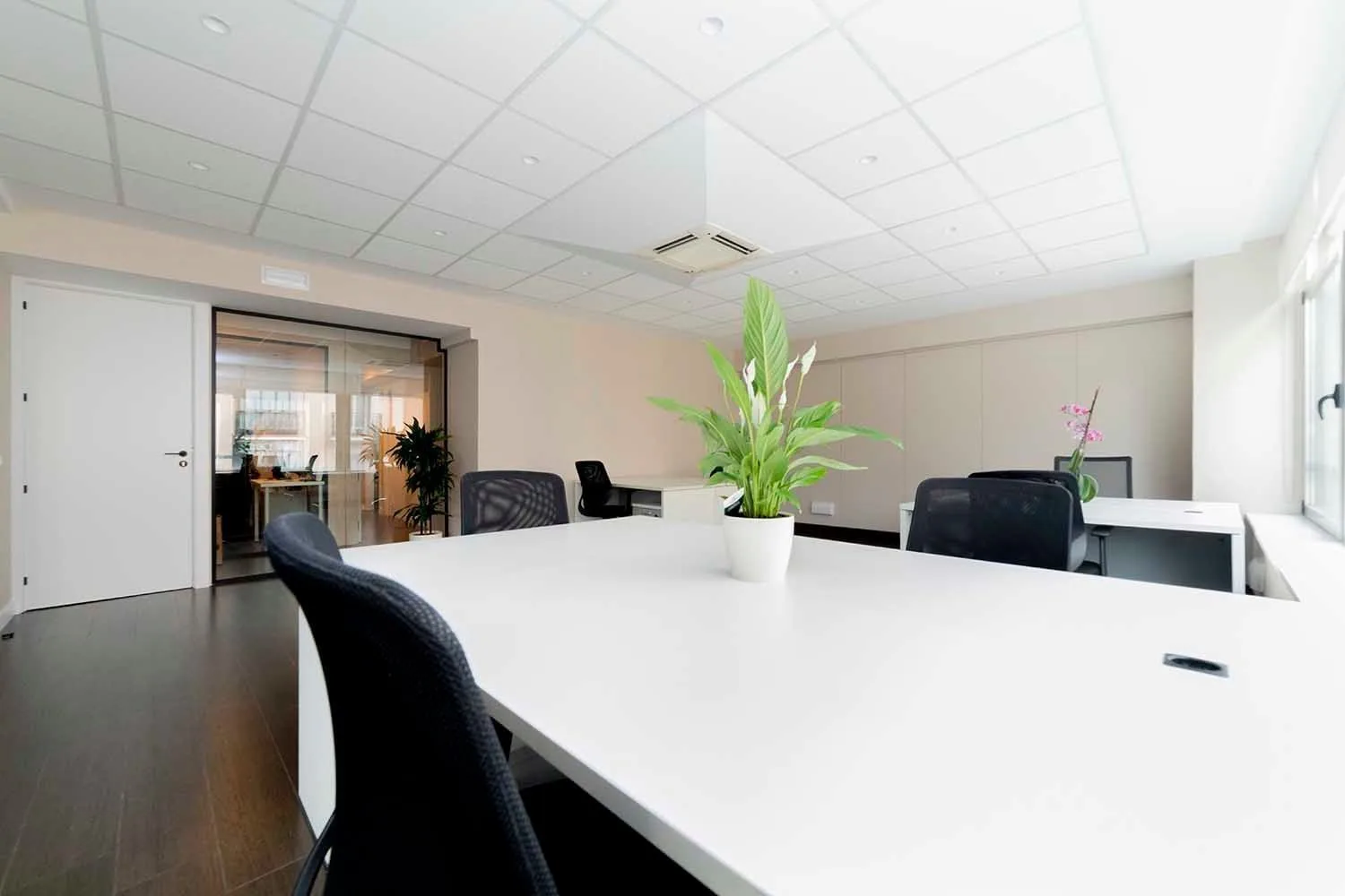 Inspira Workspaces, Private office, 6 desks, Madrid