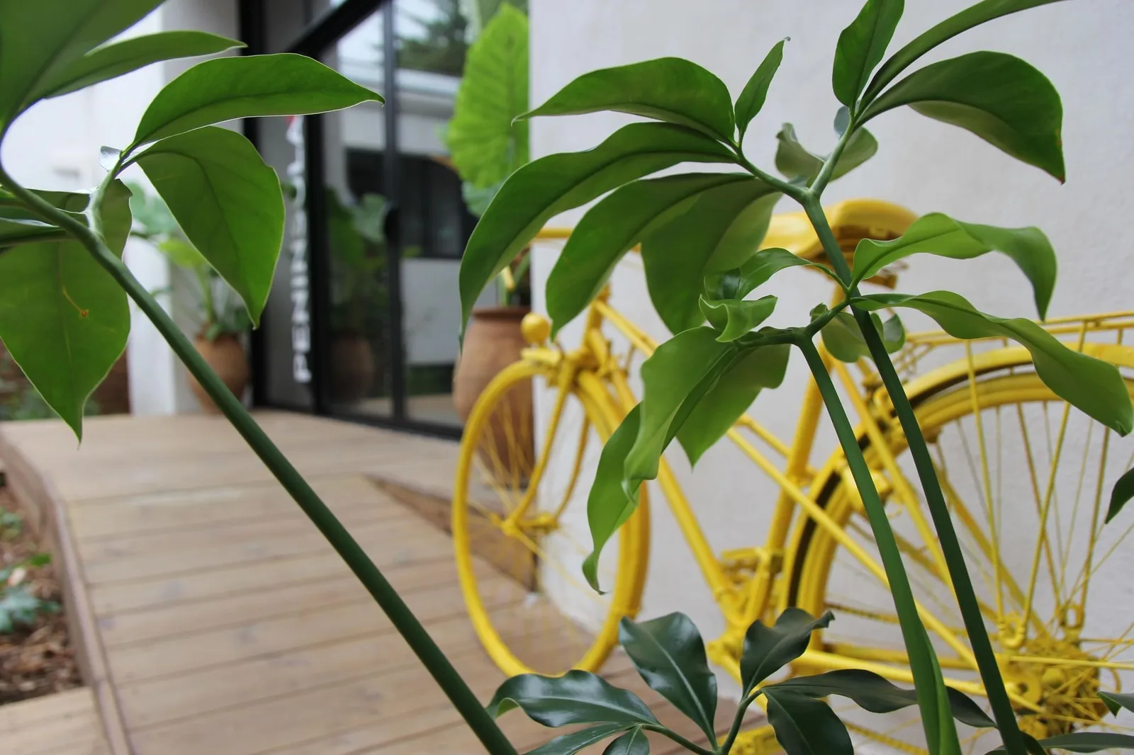 The Island, Terrace and outdoor space, Montpellier