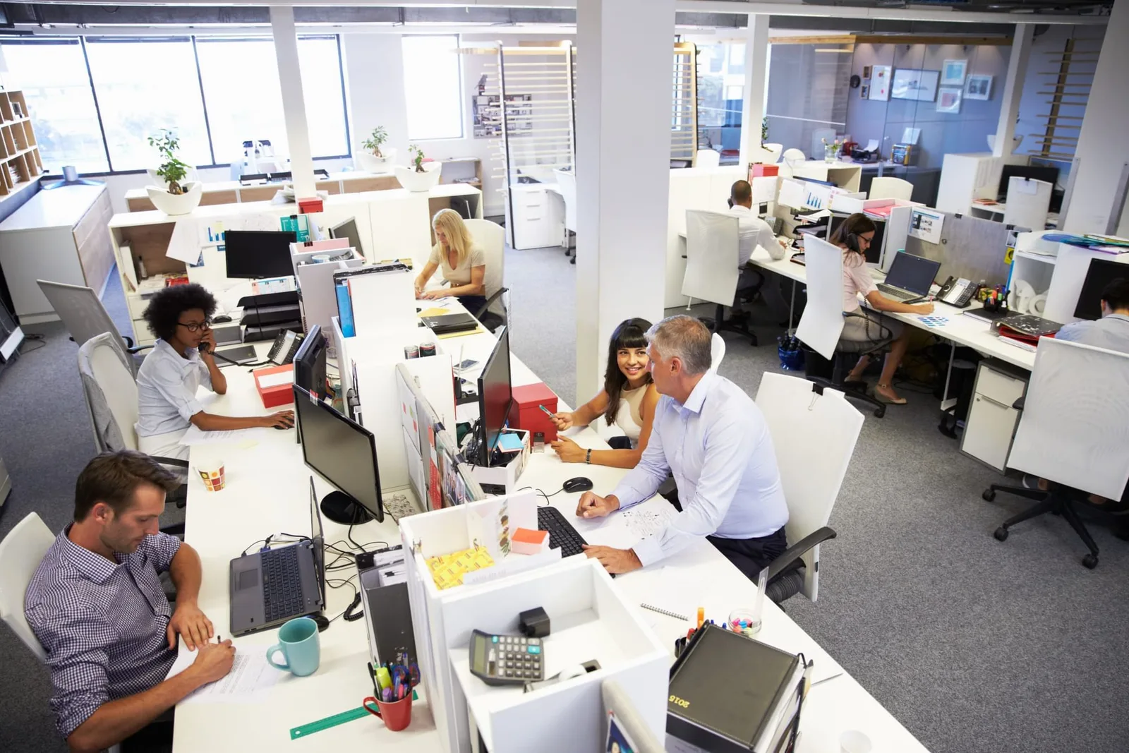 Ivy Group, Open-plan office, Manchester