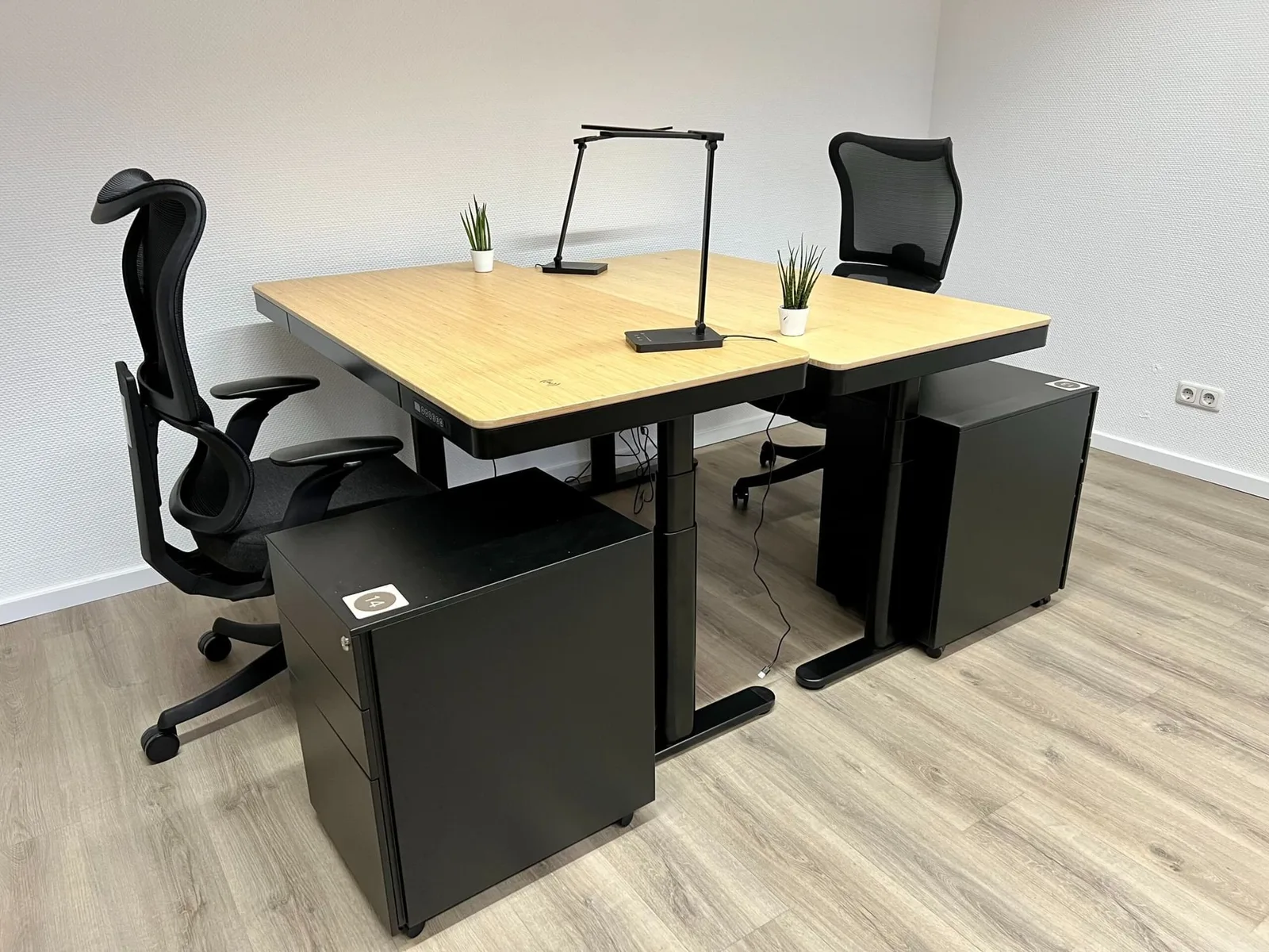 Der Julius, Private office, 2 desks, Oldenburg