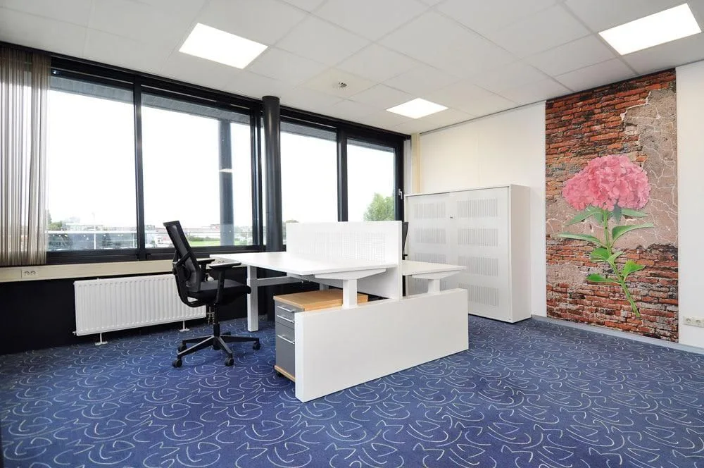 De kantoortuin, Bureau privatif 4 postes, De Lier