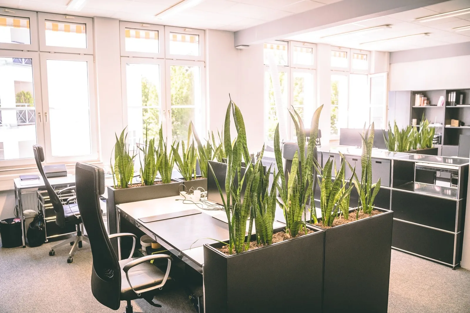Keplerspace Coworking, Open-plan office, Heilbronn