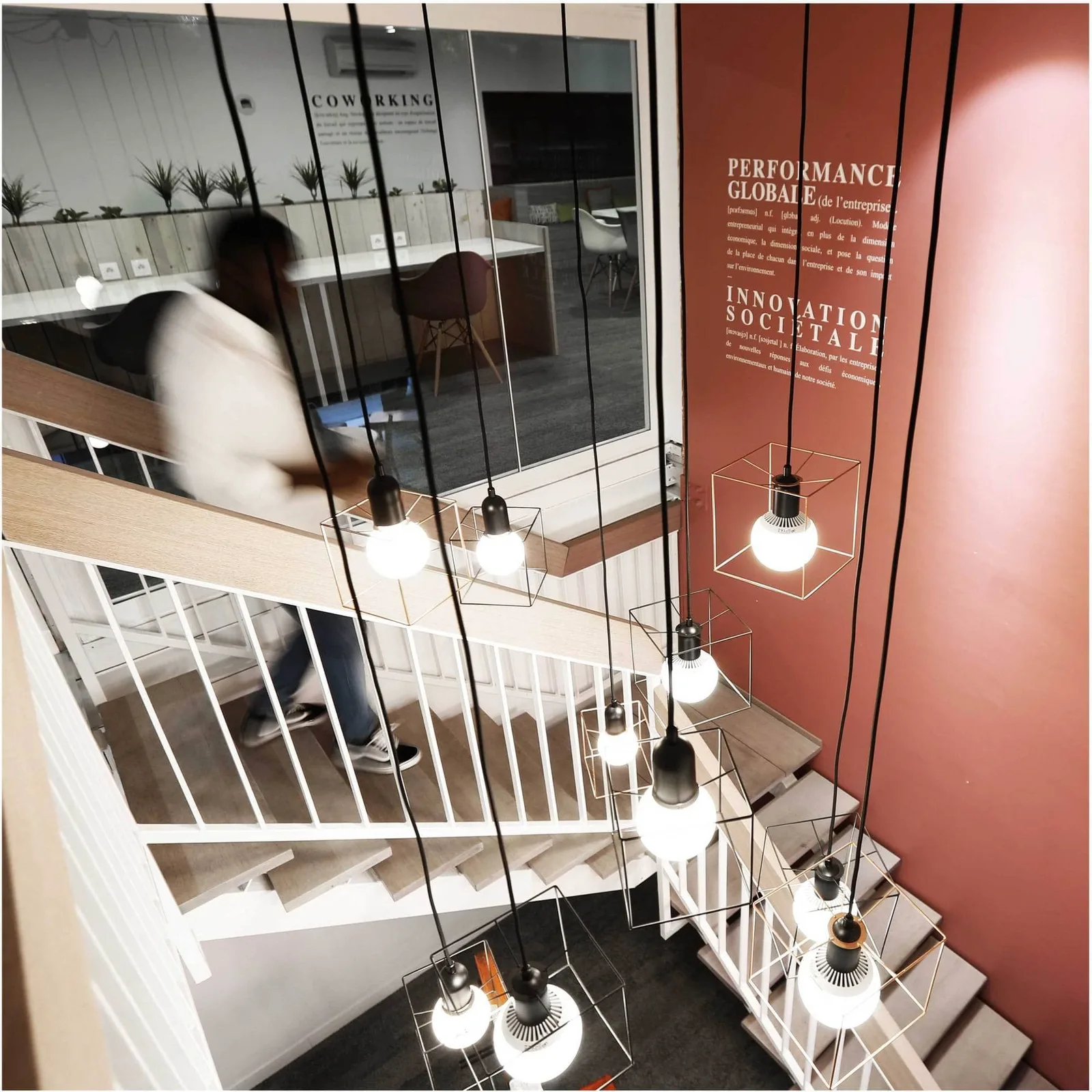Lab'Oïkos Lille, Espace commun, Lille