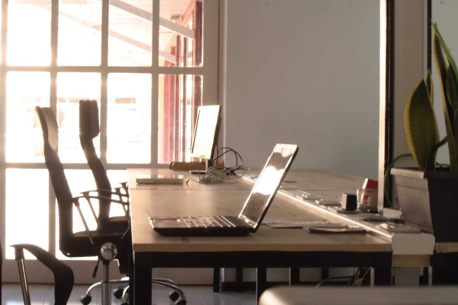 LifeCowork Maspalomas, Espacio diáfano, Maspalomas