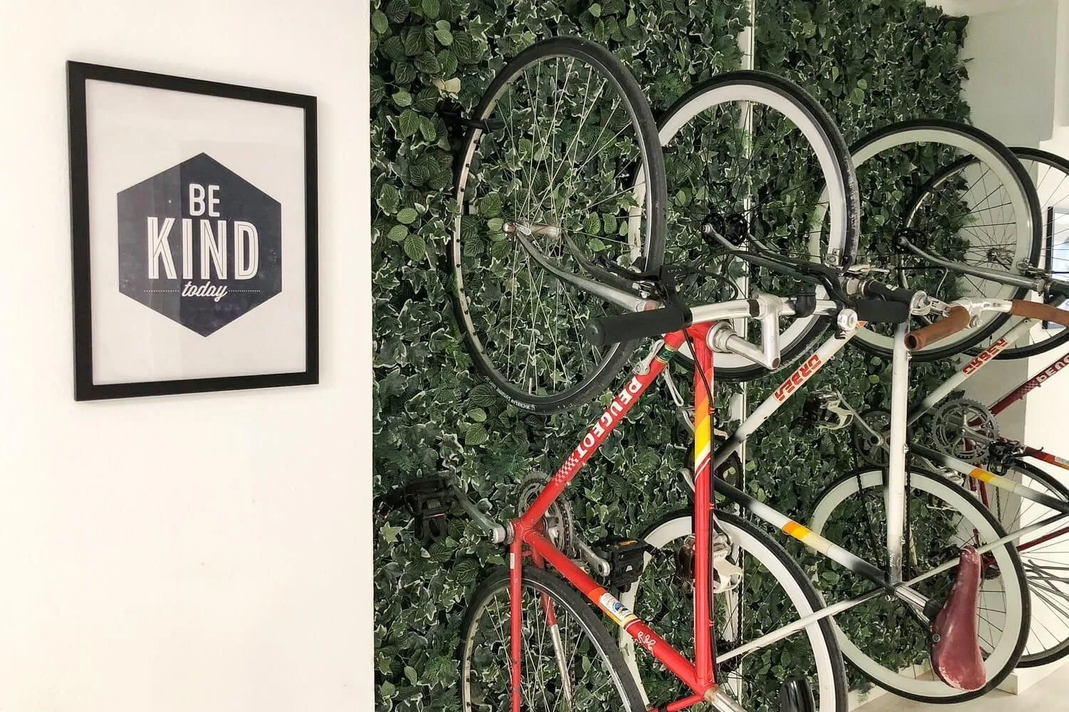 Lleida Cowork, Zona común, Lleida