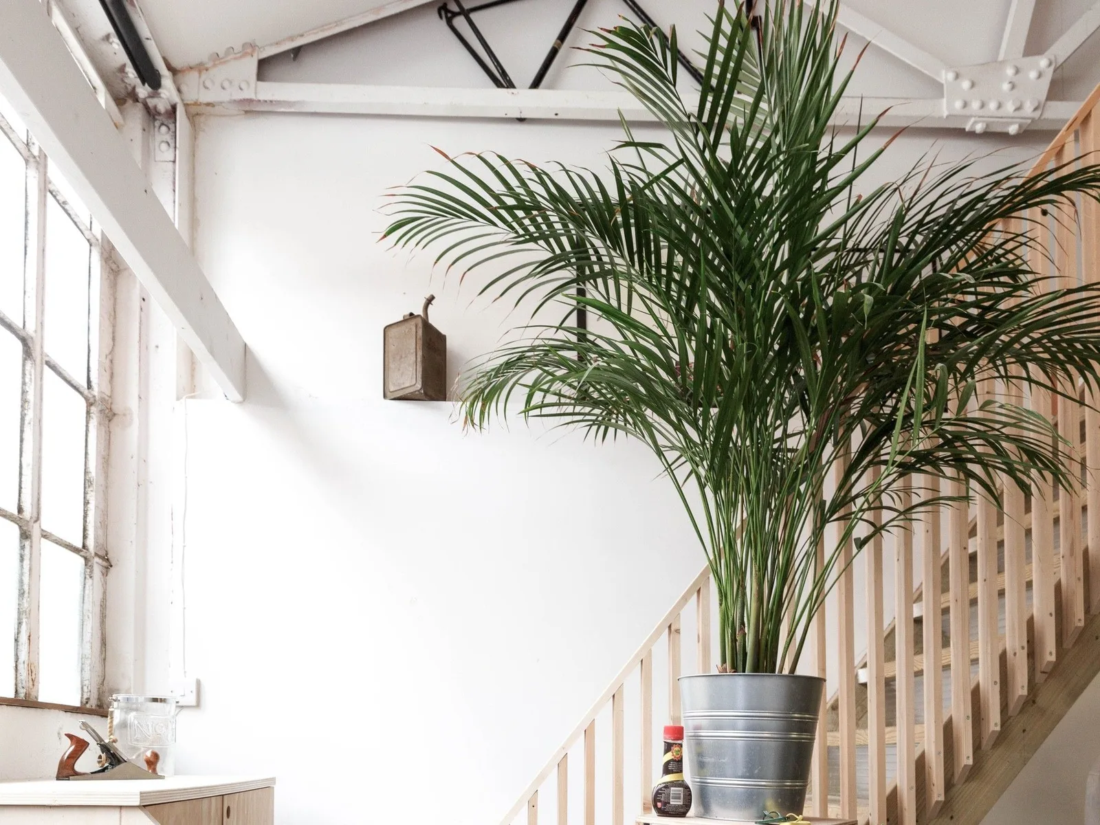 Mainyard Studios - Walthamstow, Woodford Green, photo 3