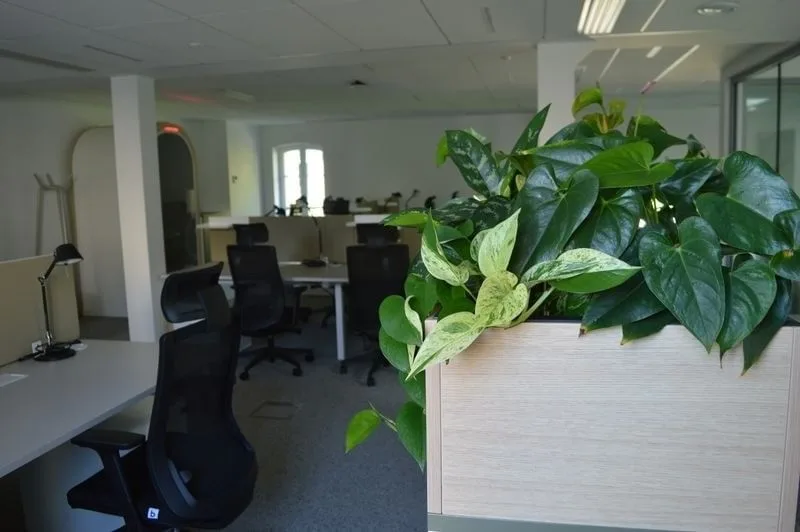 La Maison du développement durable by PMRF, Open-plan office, Paris 17e