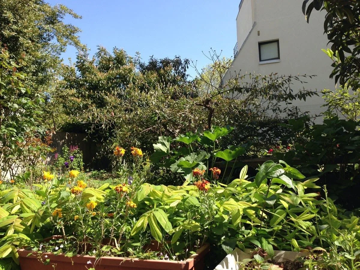 E-Malaya, Terrace and outdoor space, Paris 14e