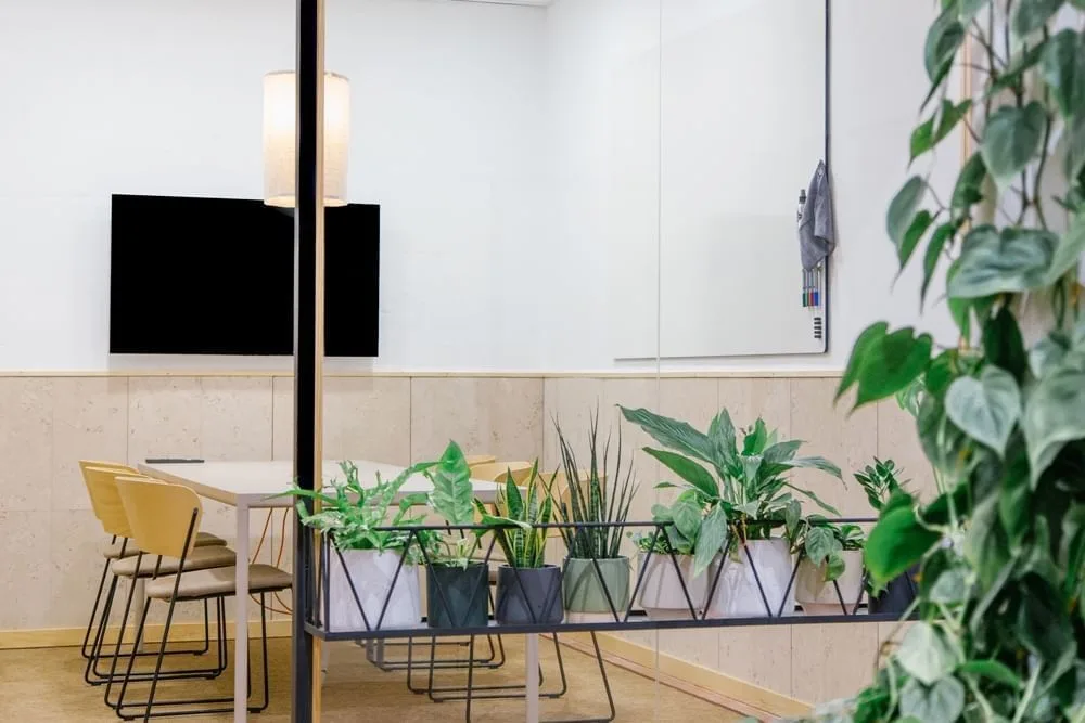 Manglar, Sala de reuniones para 6 personas, Barcelona