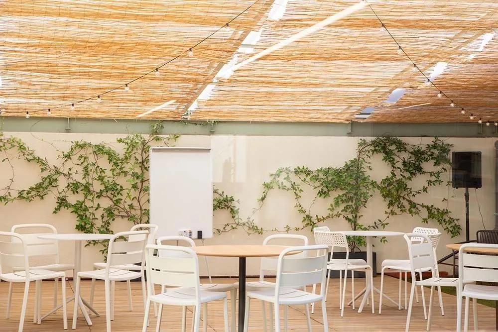 Manglar, Terraza y espacio exterior, Barcelona