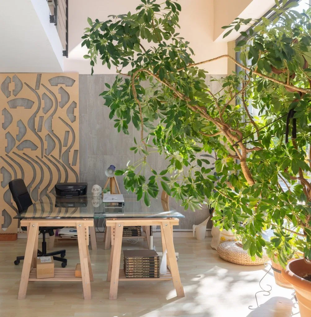 Maui, Despacho privado con 1 puesto, Barcelona