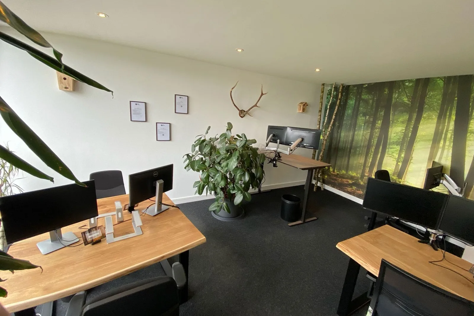 Medi Lean CoWorking, Private office, 5 desks, Kiel