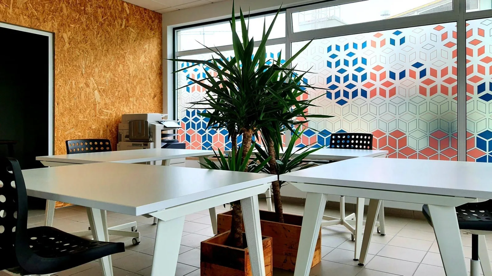 MgWorking, Open-plan office, Marinha Grande