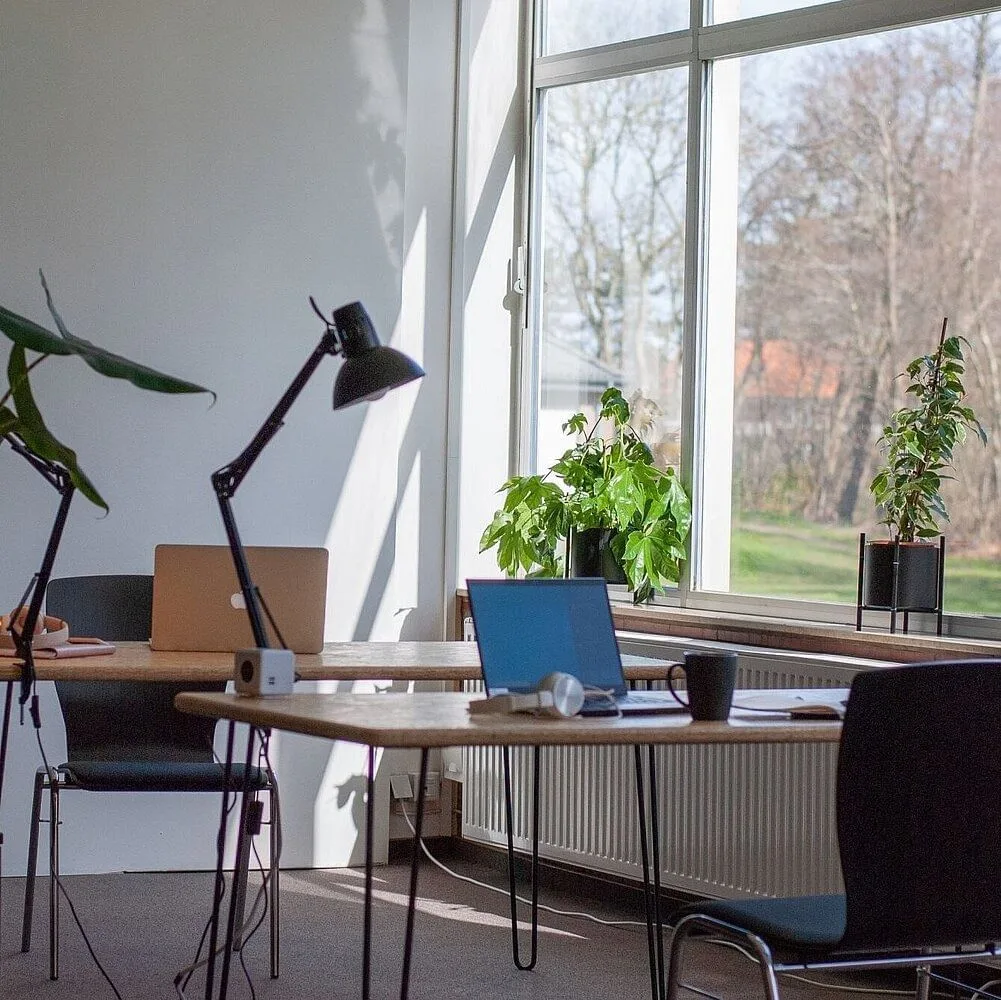 Mind Spot, Private office, 2 desks, Sankt Peter-Ording