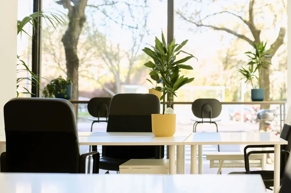 Miso Coworking Calle Julián Arteaga 9, Espacio abierto Fijo, Pamplona