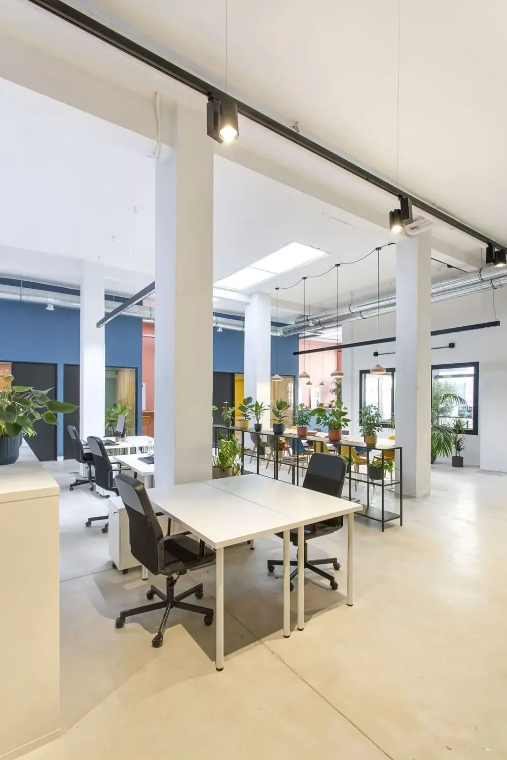 Miso Coworking Calle Uztarroz 16, Espacio abierto 10 dias al mes, Pamplona