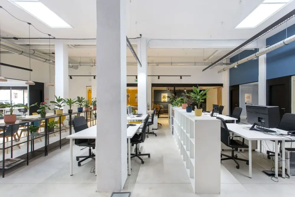 Miso Coworking Calle Uztarroz 16, Espacio abierto 5 dias al mes, Pamplona