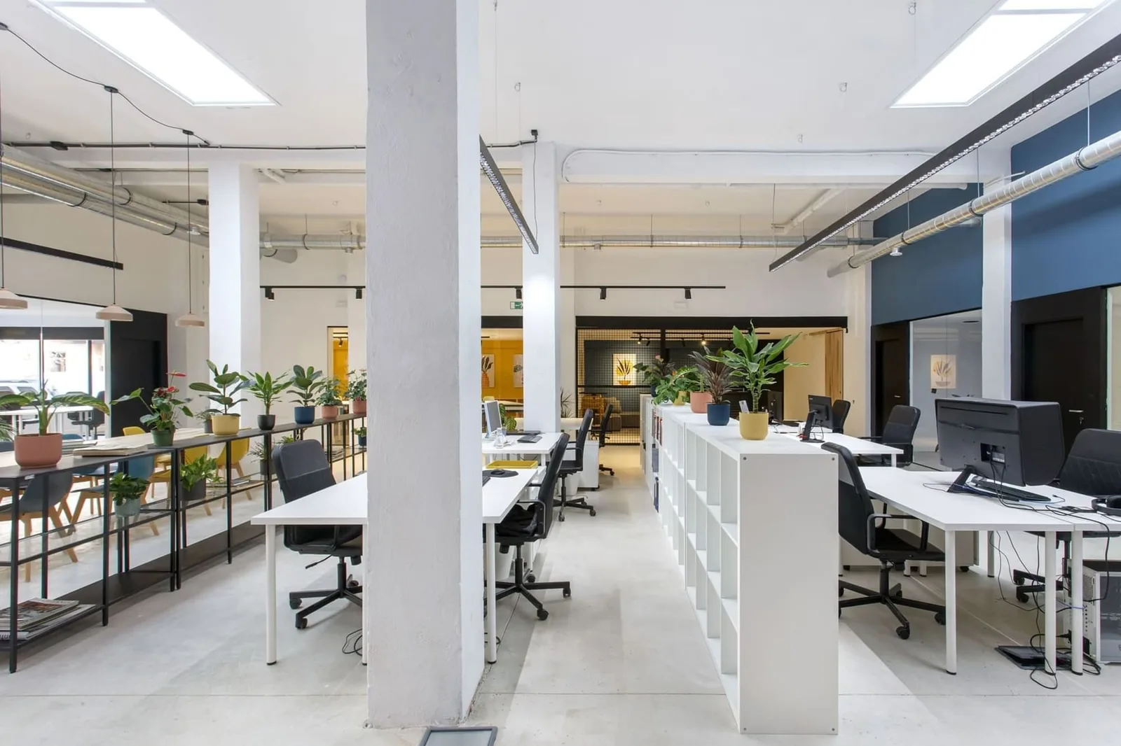 Miso Coworking Calle Uztarroz 16, Open-plan office, Pamplona