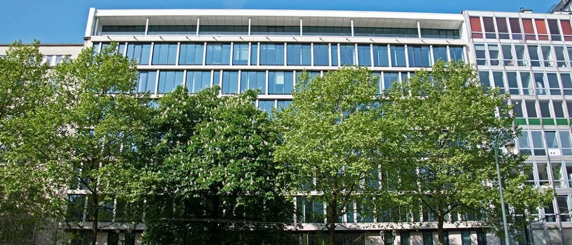 Mitwit Bruxelles Avenue Louise, Façade, Bruxelles