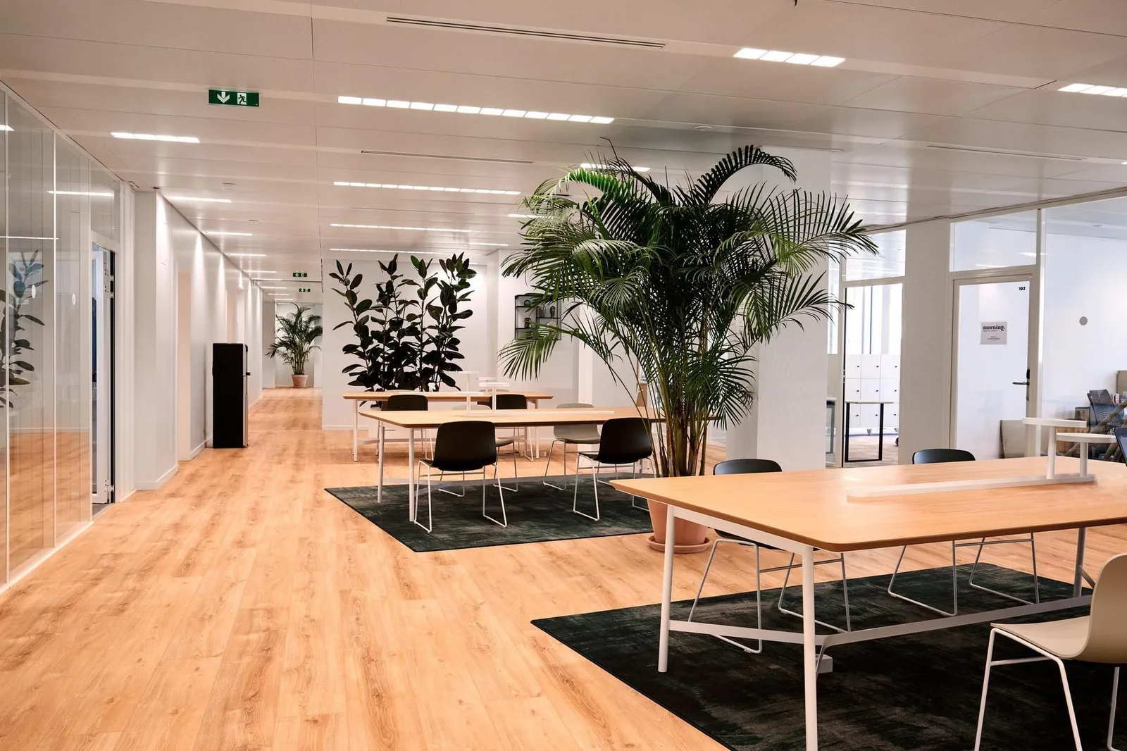 Morning Balard, Open space, Issy-les-Moulineaux