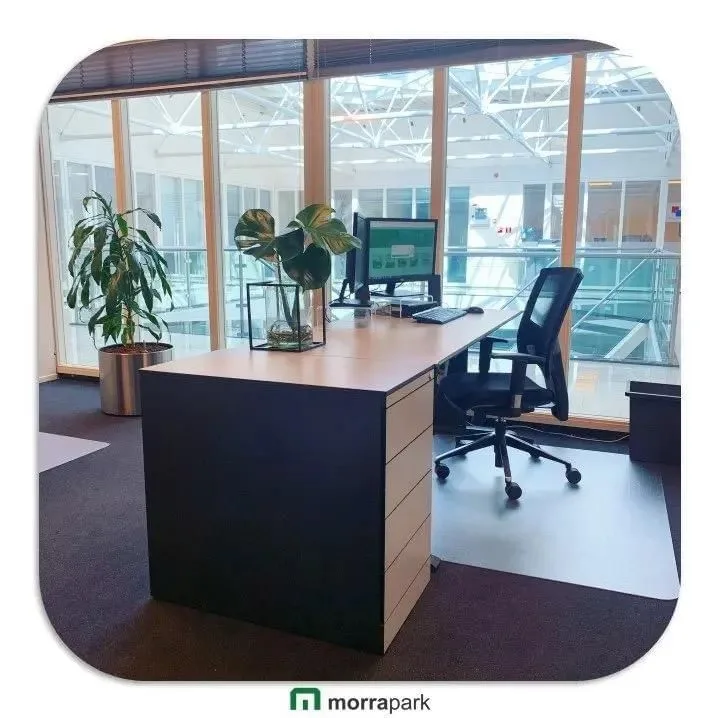 Morrapark, Private office, 1 desk, Drachten