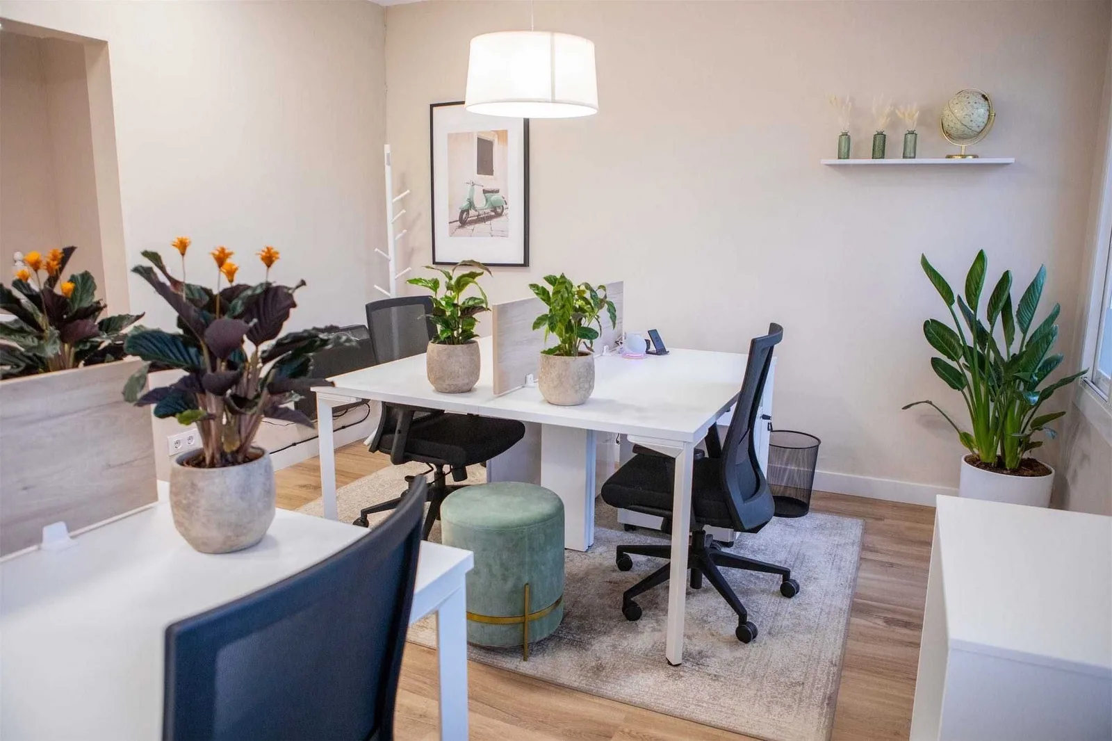 Mycowork, Private office, 4 desks, Martorell
