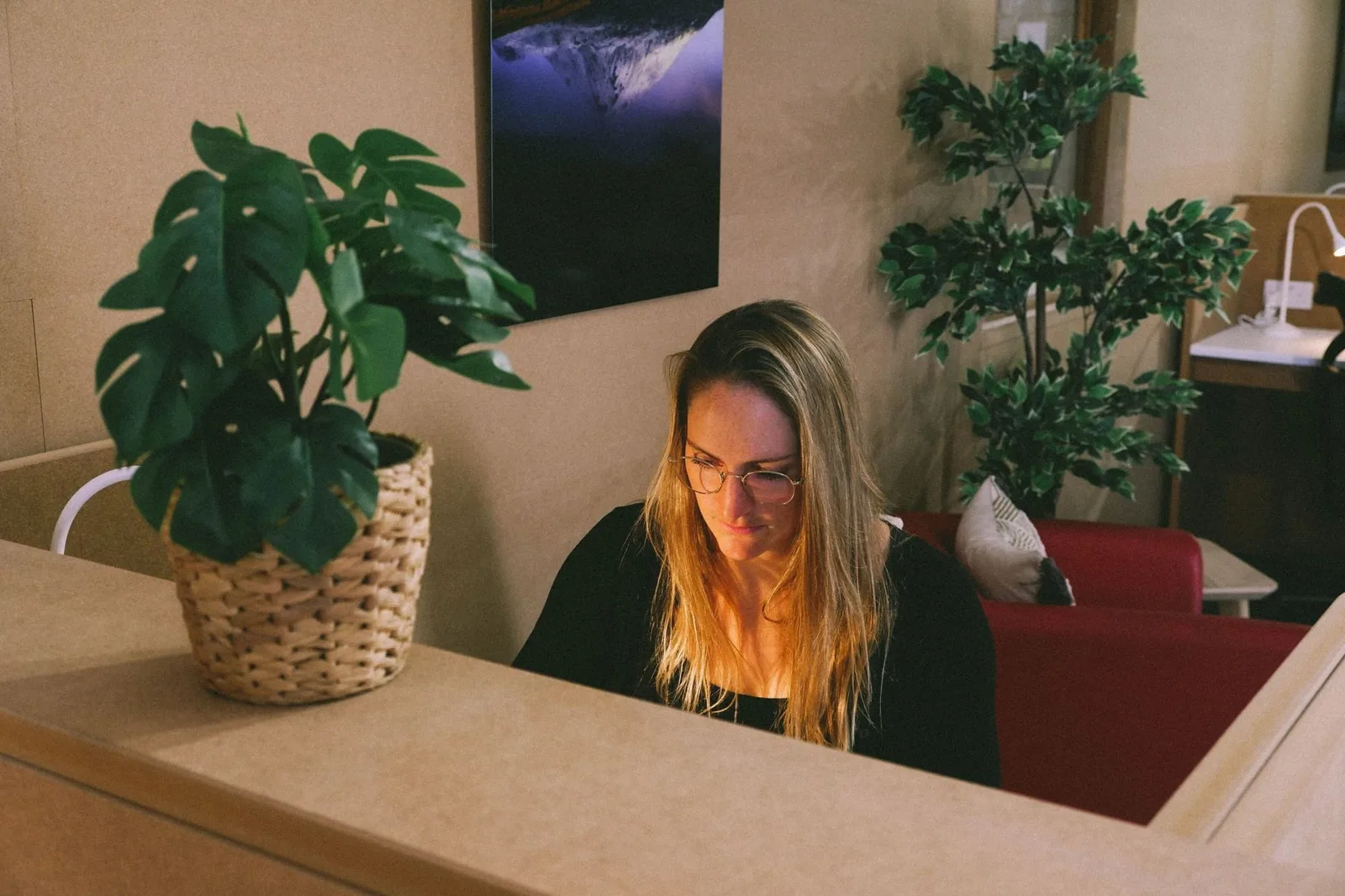 Narosa Workspace, Coworking space, Falcarragh