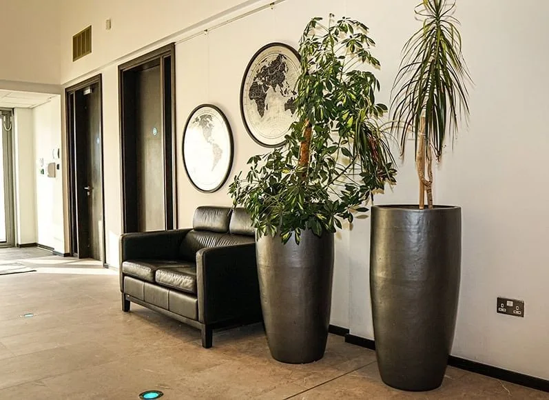 National Software Centre, Common area, Cork