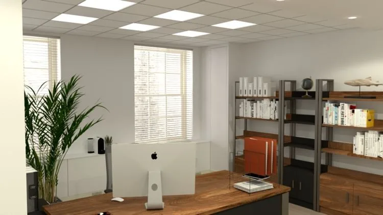 New King's House, Private office, 1 desk, Putney