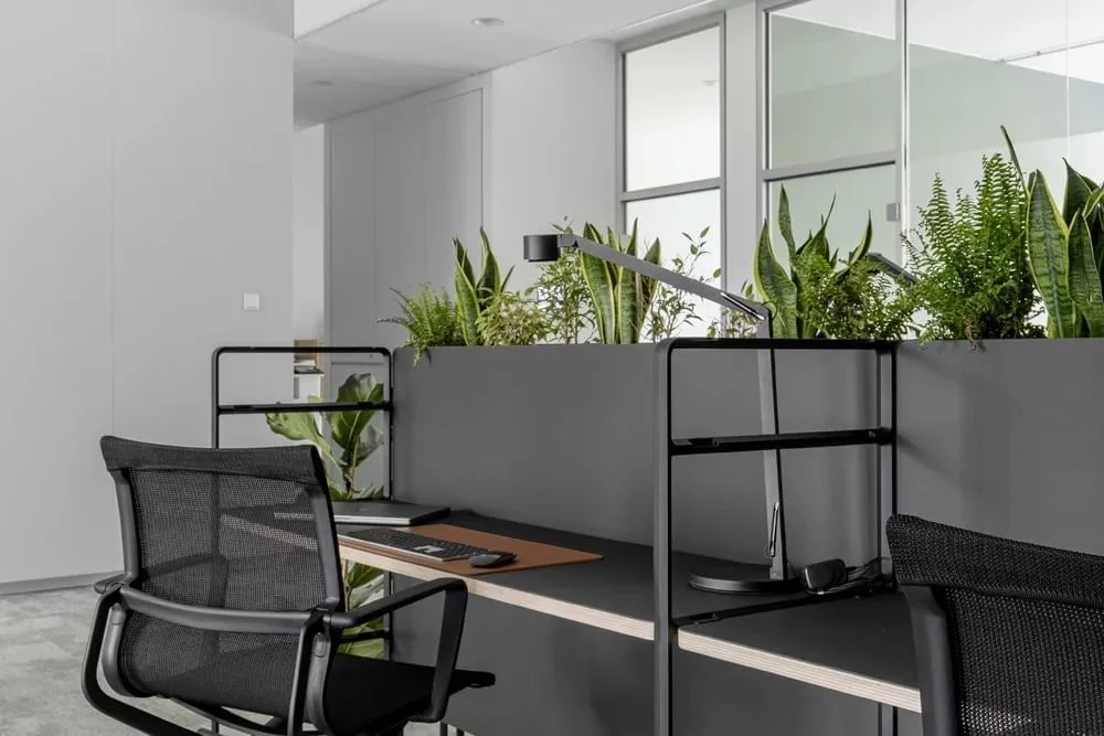 Office Club Düsseldorf, Open-plan office, Düsseldorf
