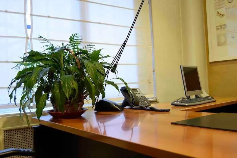 Oficinas Ya Velazquez, Private office, 1 desk, Madrid