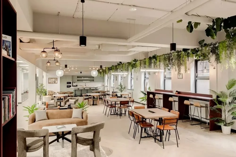 OneCoWork Winckley Square, Cafeteria, Preston