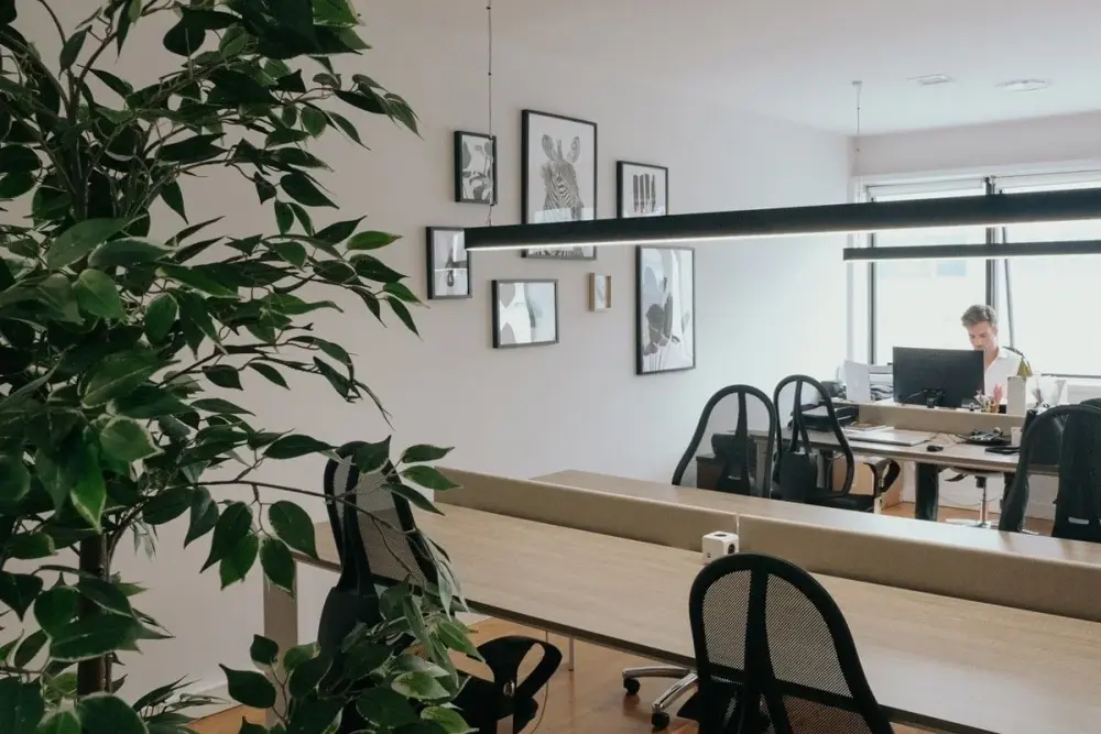 My Desk Coworking Solutions, Open space dedicated desk, Maia