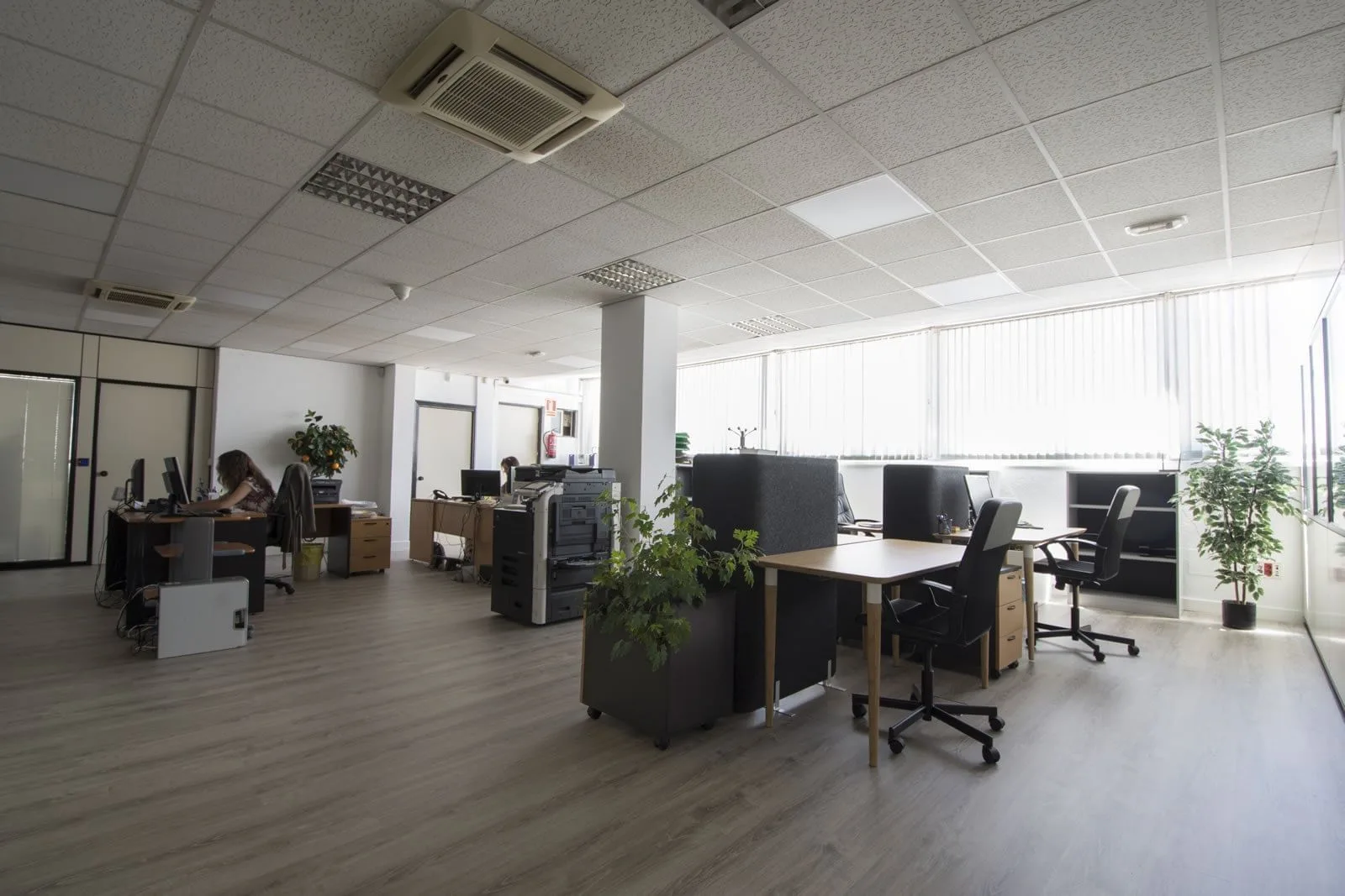 Ovislandia, Open-plan office, Madrid