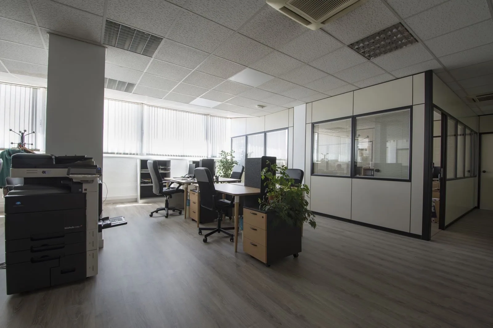 Ovislandia, Open-plan office, Madrid