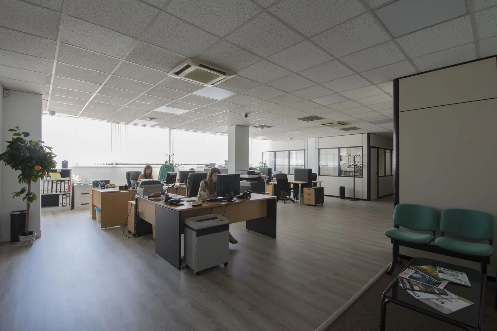 Ovislandia, Open-plan office, Madrid